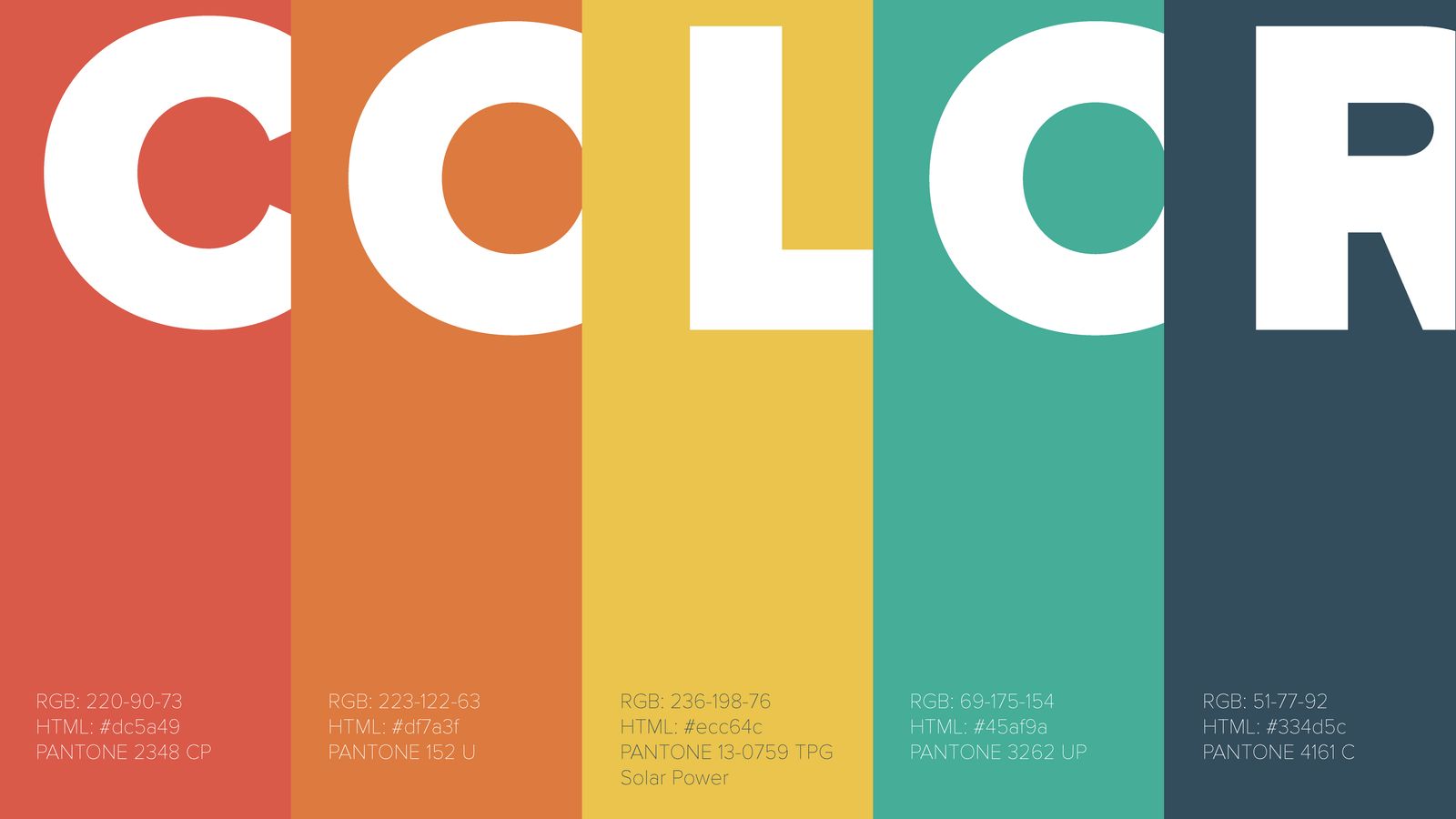 Color palette guide displaying primary and secondary corporate colors